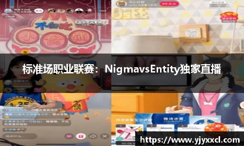 标准场职业联赛：NigmavsEntity独家直播